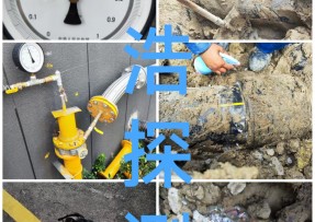 蓝狮在线登录测速公司 - 昭通燃气管道泄漏检测
