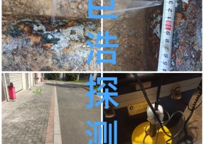 上海青浦某小区供水管道漏水检测