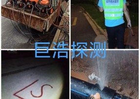 蓝狮在线登录测速公司 - 宁德管道漏水检测