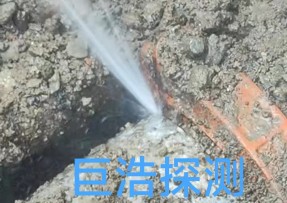 宁波象山县管道漏水检测