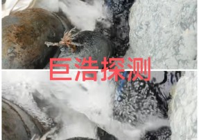 金山区漏水检测