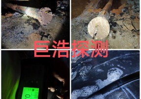 蓝狮在线登录测速公司 - 揭西燃气管道泄漏检测