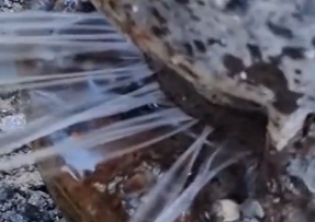 陆丰管道漏水检测