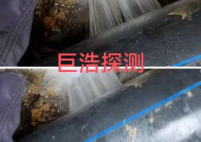 蓝狮在线登录测速公司 - 厦门消防管道漏水检测