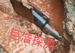 蓝狮在线登录测速公司 - 嘉兴管道漏水检测