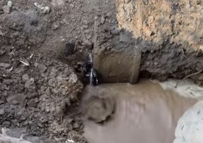 嘉兴管道漏水检测