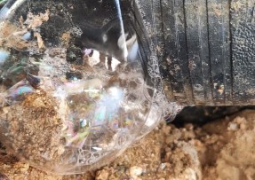 蓝狮在线登录测速公司 - 汕头新装燃气管道泄漏检测