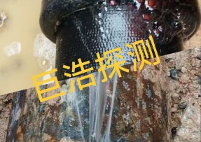 蓝狮在线登录测速公司 - 漳州消防管道漏水检测