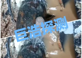嘉兴管道漏水检测