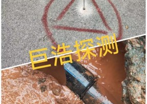 蓝狮在线登录测速公司 - 安庆消防管道漏水检测